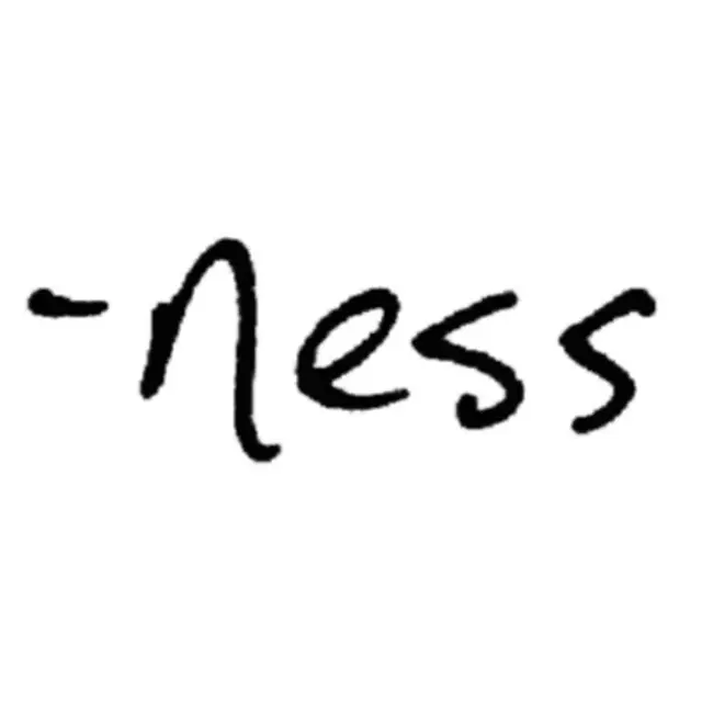 n e s s