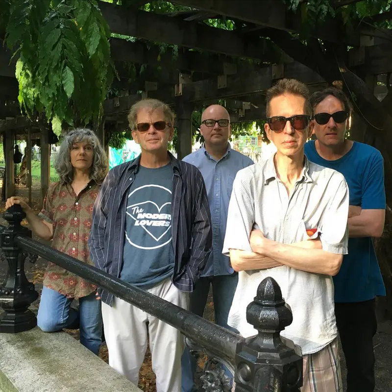 The Feelies